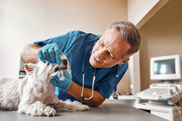 Best Urgent Dental Care  in Marshall, MO